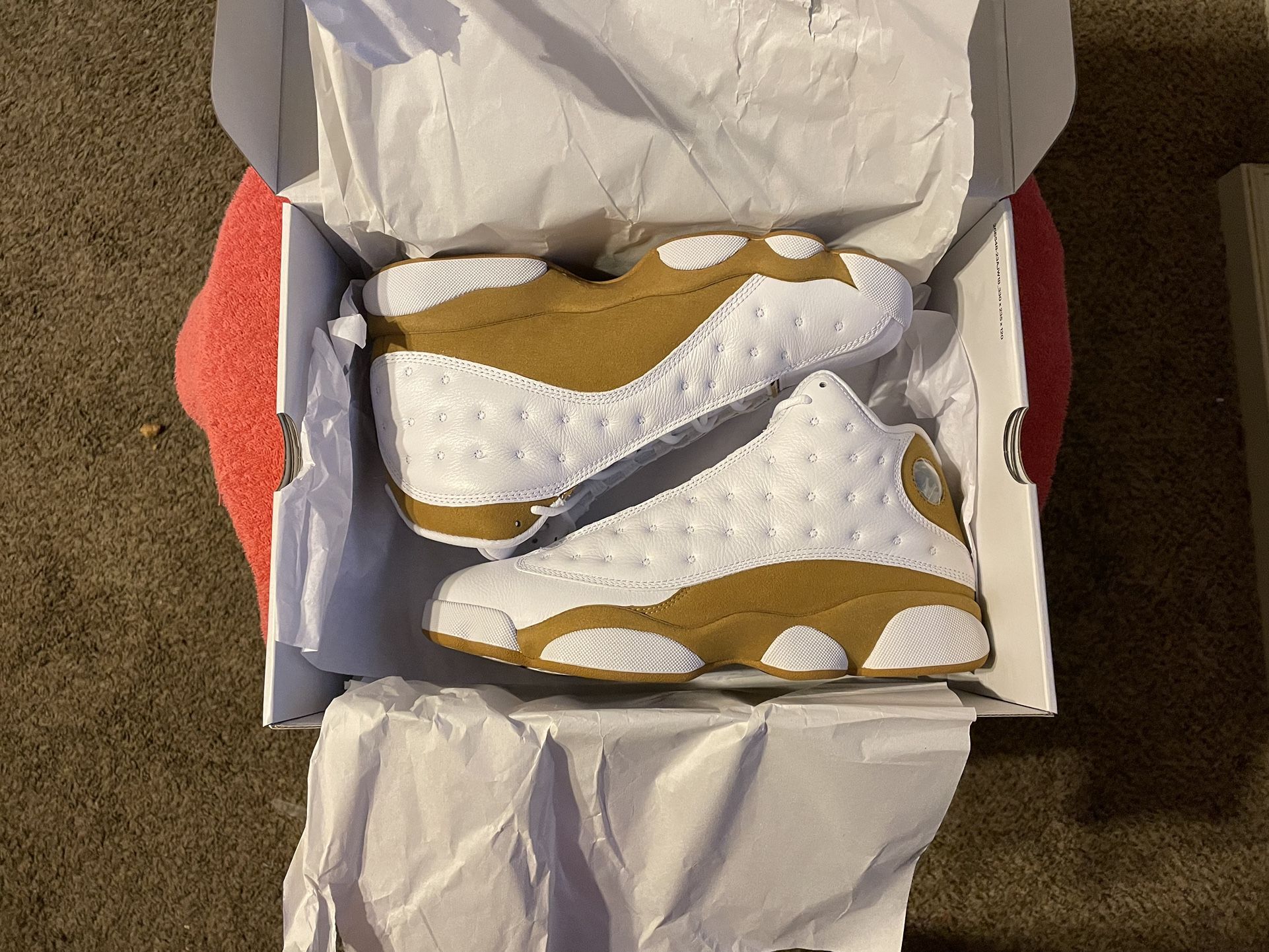 Jordan 13