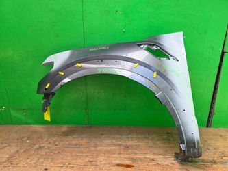 RAPTOR 2015 2016 2017 2018 2019 2020 FENDER