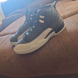 Jordan 12s Shadow