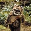 Lando