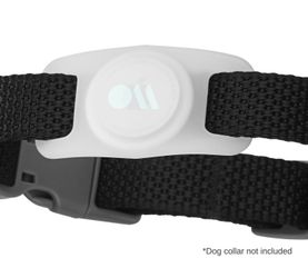 Case Mate Air Tag Case For Pets
