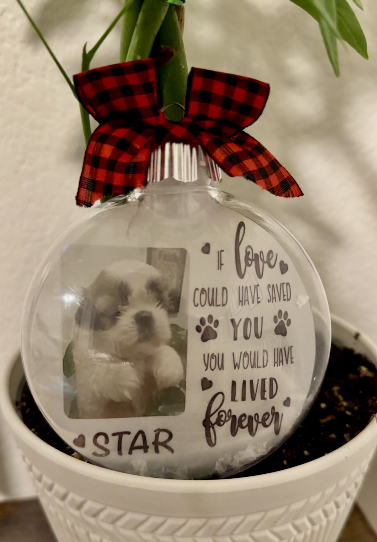 Pet Memorial Ornament