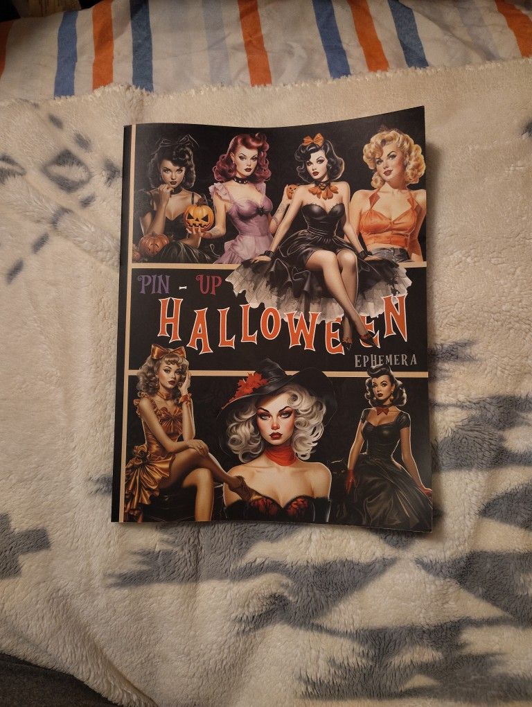 Pinup Girls Book