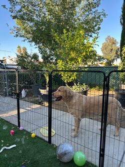 40” x 16 panels Aster play pen