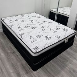 Queen Size Mattress & Box Spring New 