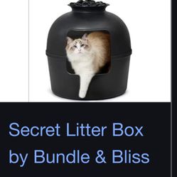 Cat Litter Box Plant