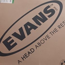 Drum  Head 