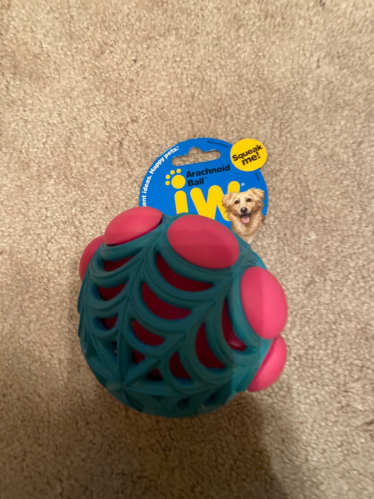 New Arachnoid Ball for dog Squeaks