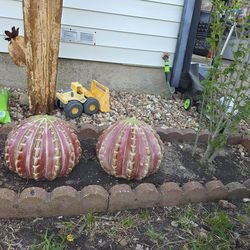 Terra cota outside decor