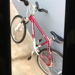 Aluminum Women Bike Need Air In Tires