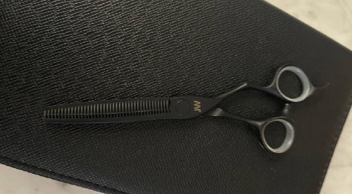JW PROFESSIONAL SHEARS $80