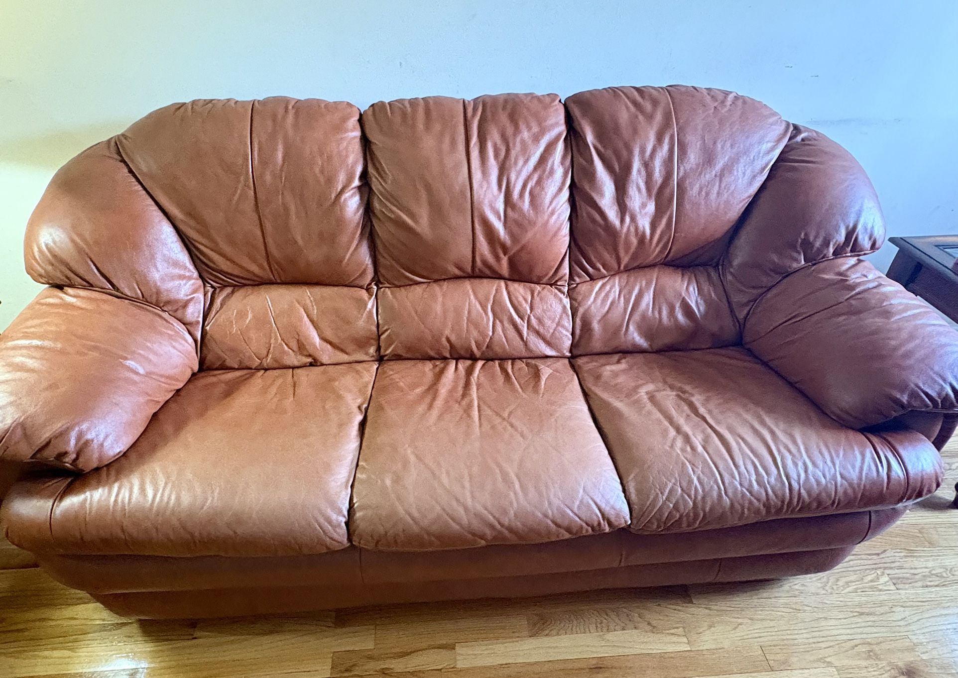 Comfortable Brown Leather Sofa