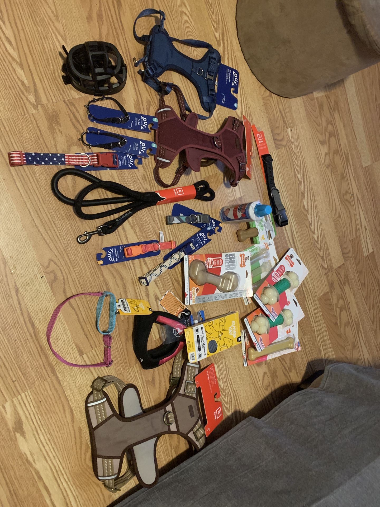 Dog Stuff