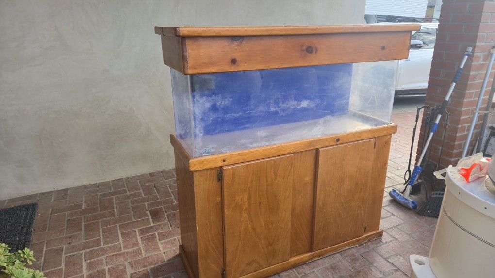 Salt Water Tank With Accessories