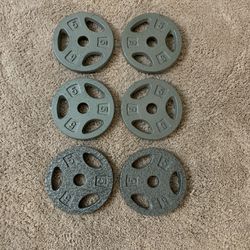 Standard Weight Plates - Total 30 Pounds 