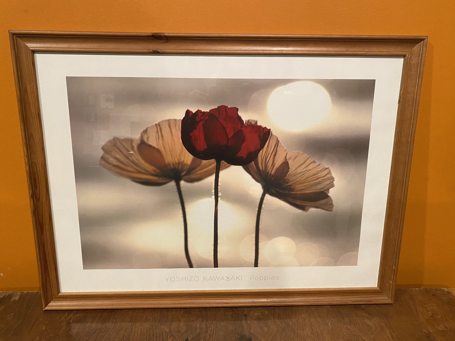 Framed Print - Yoshizo Kawasaki “Poppies”