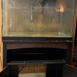 65 Gallon Tank