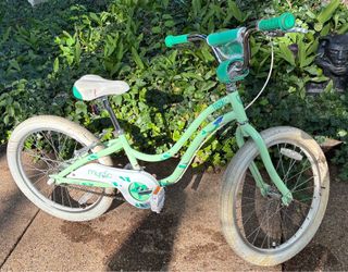 20” Schwinn Girl’s Bike for 5 to 8 Year Olds