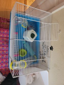 Hamster cage and accessories