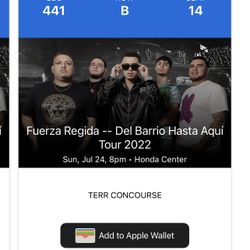 Fuerza Regida Ticket 