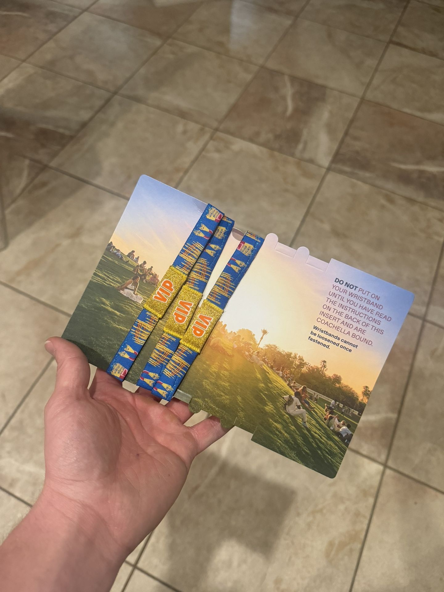 Weekend 1 VIP Coachella Tickets