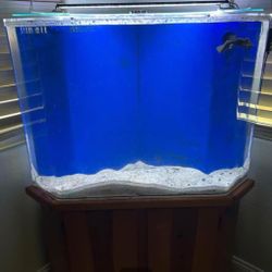 Corner 50 Gallon Fish Tank Salt Water