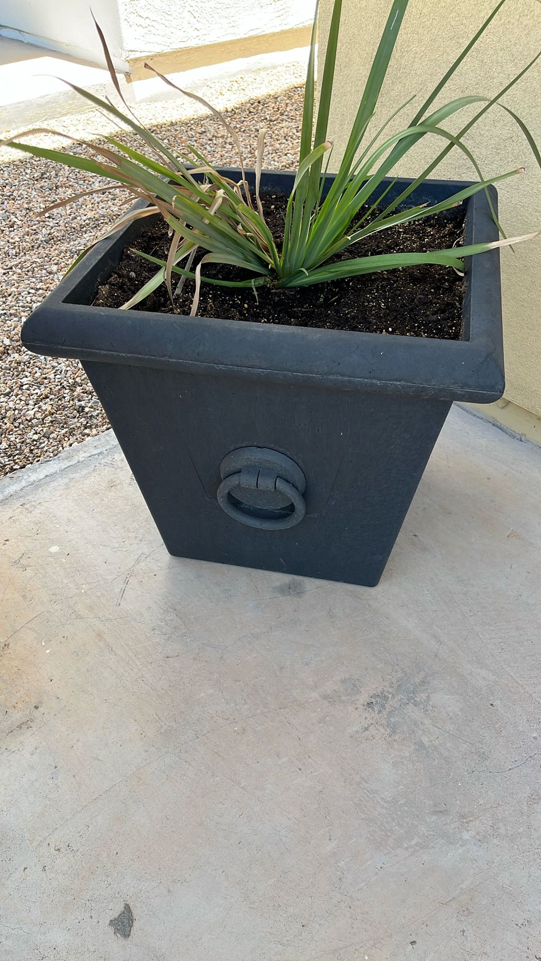 Black resin Planter