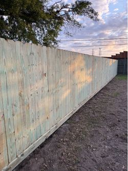 Treated Pine Wood Fence