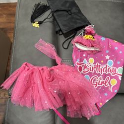 Girl Dog, Happy Birthday Hat, Bandana, Skirt, and Graduation Cap