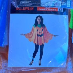 Halloween Costume 