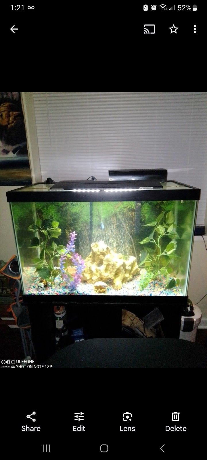 45 Gallon With All Accessories Bio Filter Pump  and Decorations 