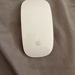 Computer Mouse 