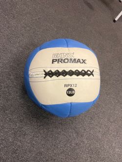 Rhino fit 12 lb wall ball
