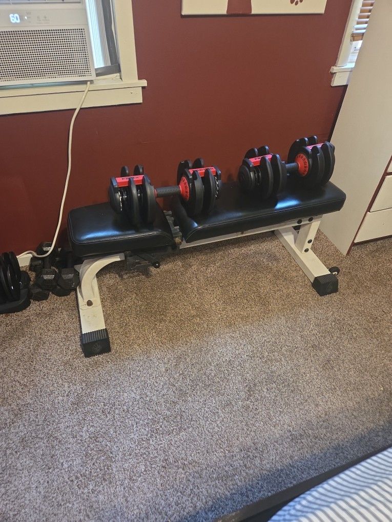 Adjustable Dumbells & Bench