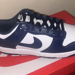 Blue And White Nike Dunks (NEW)