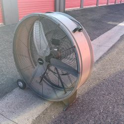 Big Fan 