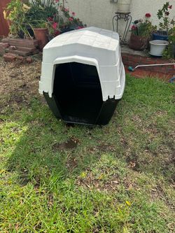 Big dog house