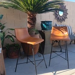 Modern Lux Accent Bar Stools! Set Of 2 ~ 'POLY & BARK'