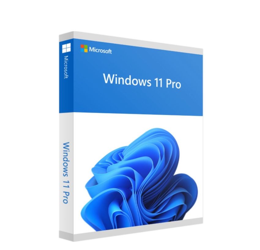 Windows 11 Pro OEM