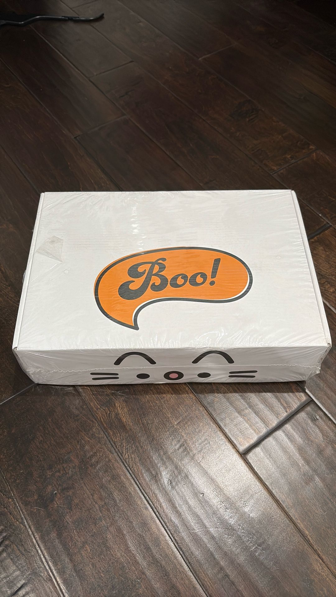 UNOPENED Pusheen Halloween Box