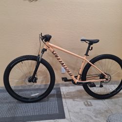 SPECIALIZED ROCKHOPPER SPORT 29 ER MOUNTAIN BIKE LIKE NEW ( CHECK MY OTHER BIKES)