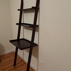 Ladder Shelf