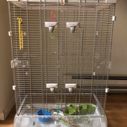 Bird Cage