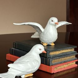 Dove On Books    Home interiors