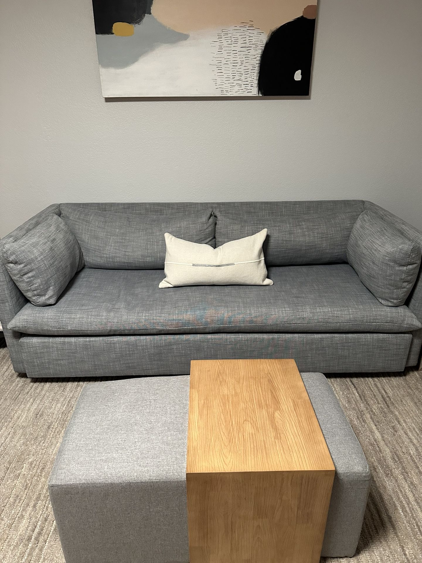 West Elm Sleeper Sofa