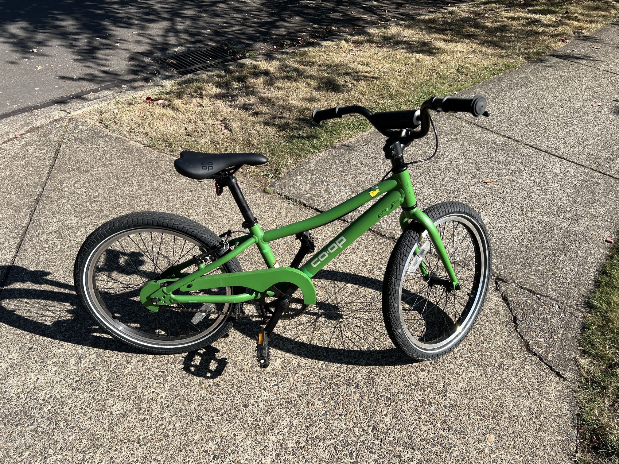 Kids Bicycle – REI Co-op Cycles REV 20” – Like New!