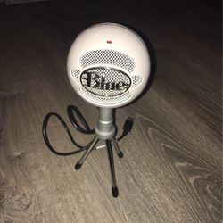 Blue Bird Snowball Icee