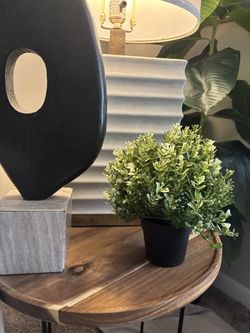 IKEA Plant