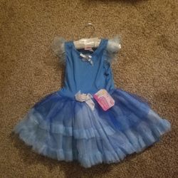 Cinderella Tutu