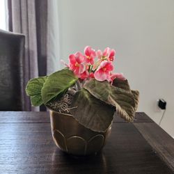 Nice Small Artifical Plant Flower In Pot 